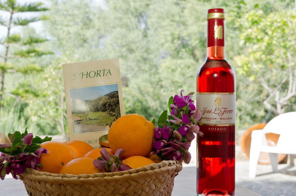 S' Horta Feriegård