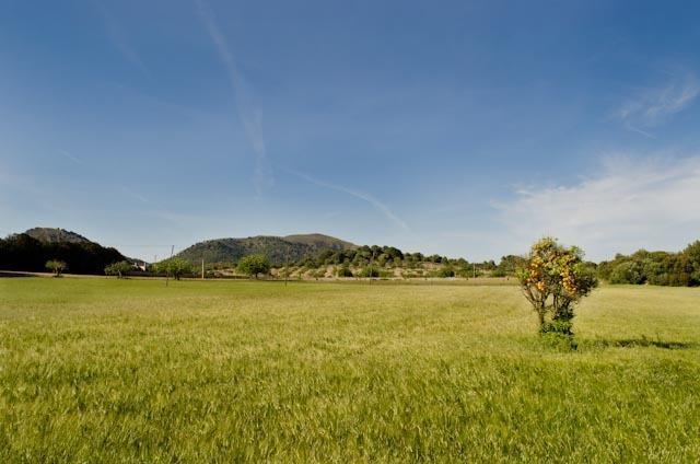 Feriegård S' Horta